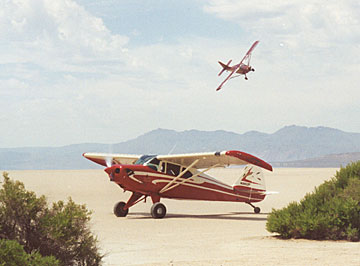 Judy Dixon's Pacer named Lady Hawk