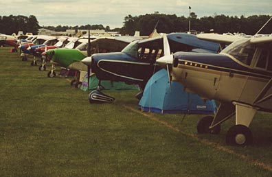 Short wing Pipers parked together at Oshkosh
