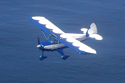 Blue flying over the ocean